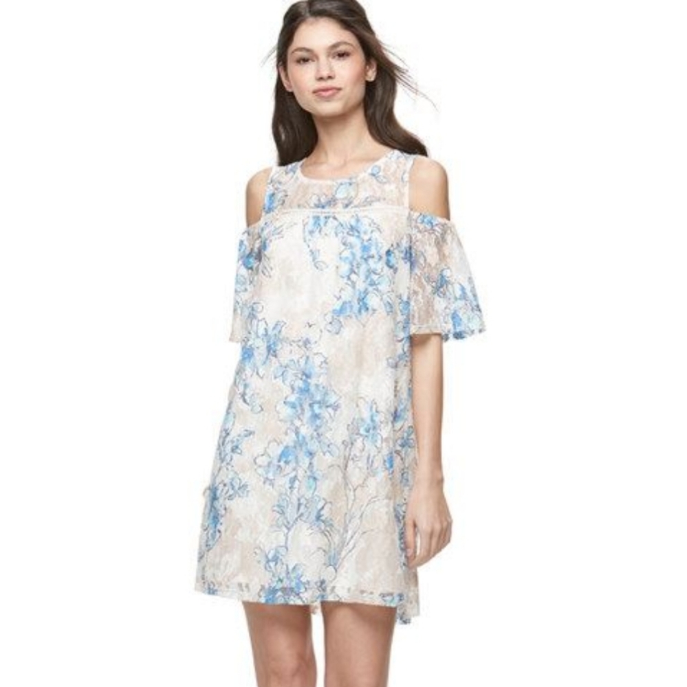 🌹👗Lily Rose👗🌹Blue & White Floral Lace Dress🌹